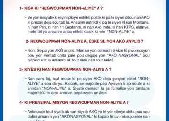 Haïti-politique: Regroupement Non-Aligné, vers une nouvelle proposition pour sortir de la crise