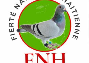 Haïti-politique : L&rsquo;accord du 21 décembre est un cadeau empoisonné selon la FNH